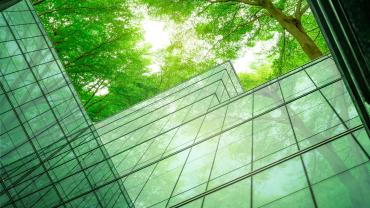Green glass building